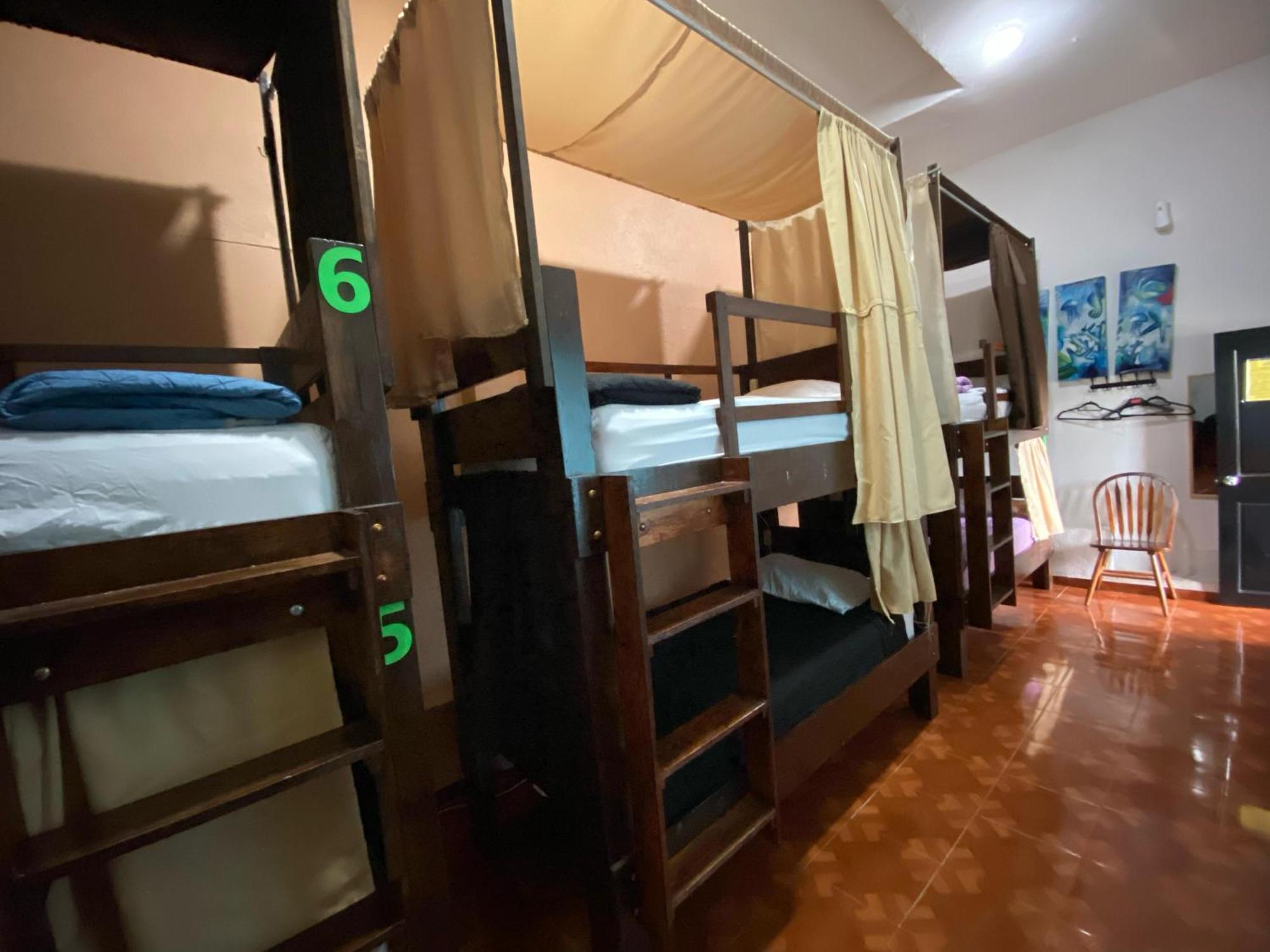 My Family In Monterrey - Hostel Екстер'єр фото