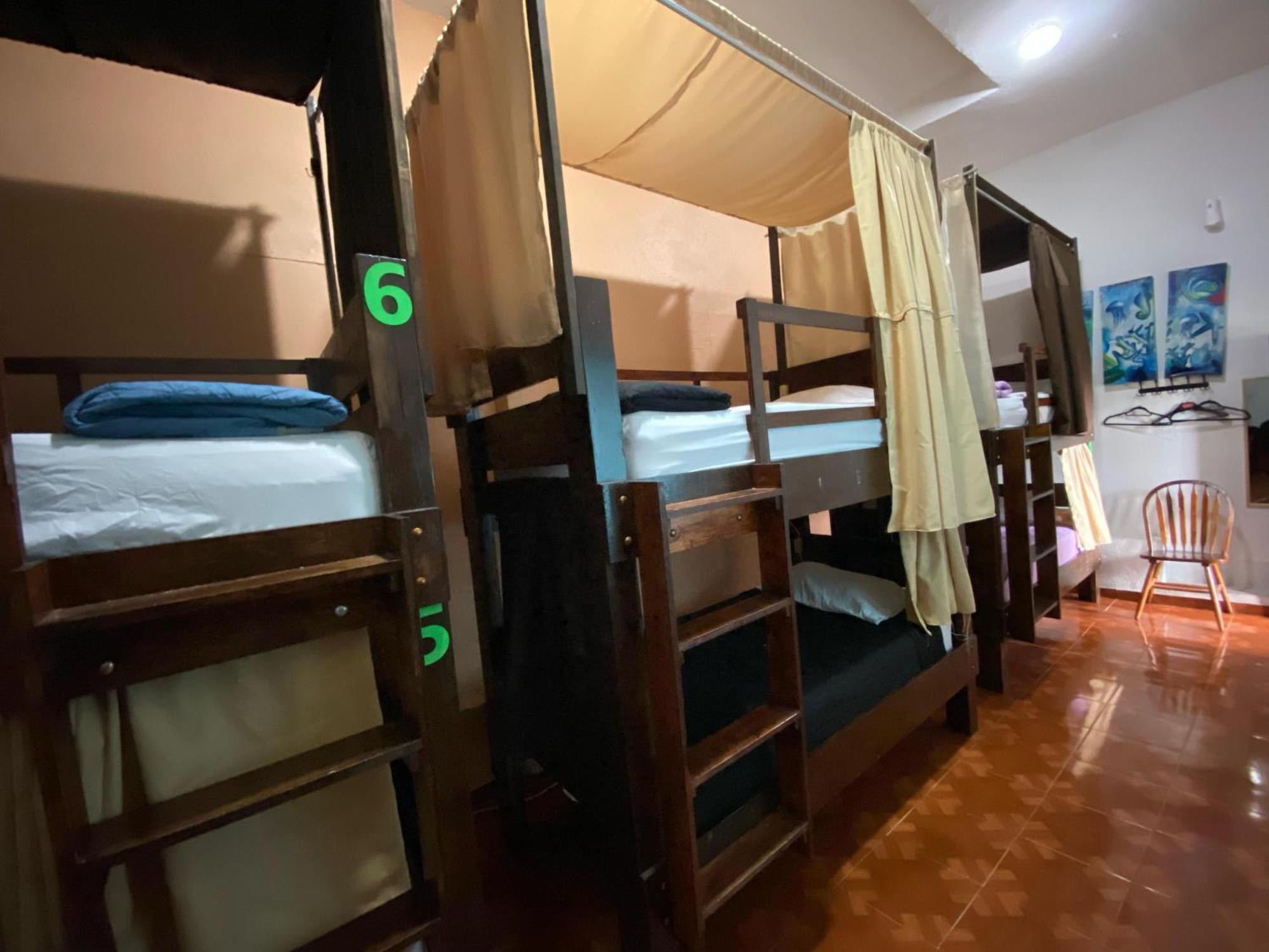 My Family In Monterrey - Hostel Екстер'єр фото